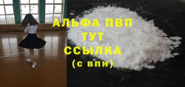 молекула духа Арсеньев