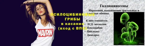 a pvp Аркадак