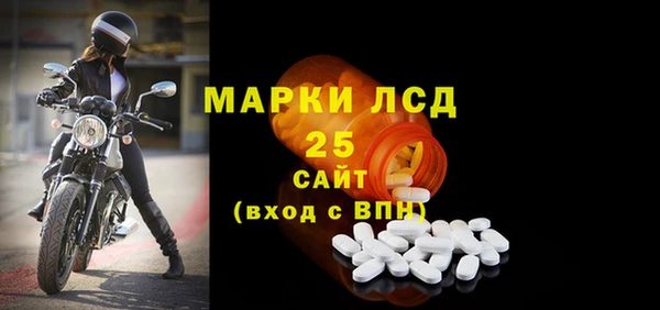 молекула духа Арсеньев