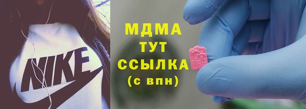 молекула духа Арсеньев