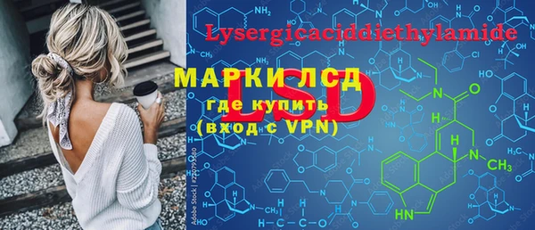 молекула духа Арсеньев