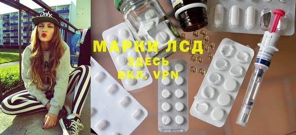 молекула духа Арсеньев
