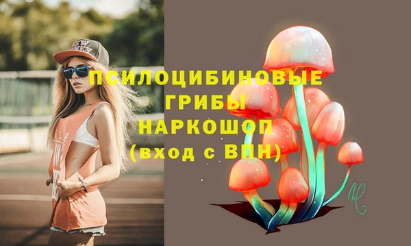 соль курить ск Россошь