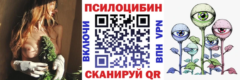 продажа наркотиков  блэк спрут ссылки  Галлюциногенные грибы мицелий  Полярный 